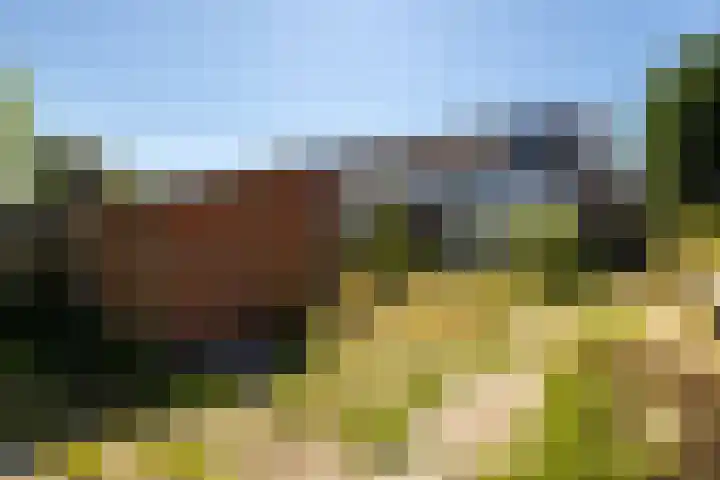 Erfvoort 38 Noordwijkerhout thumbnail 13