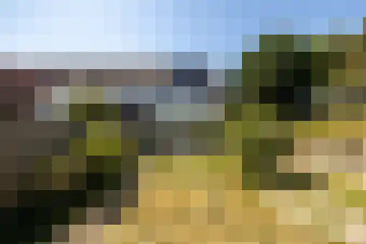 Erfvoort 38 Noordwijkerhout thumbnail 14