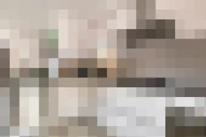 Erfvoort 62 Noordwijkerhout thumbnail 11