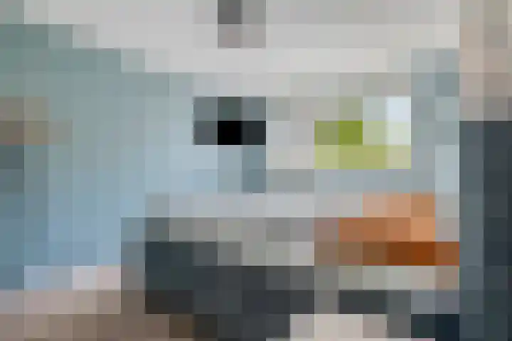 Erfvoort 62 Noordwijkerhout thumbnail 13