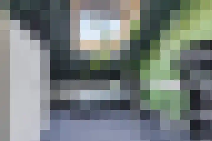 Erfvoort 62 Noordwijkerhout thumbnail 18