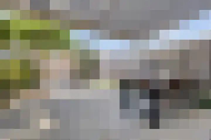 Erfvoort 62 Noordwijkerhout thumbnail 20