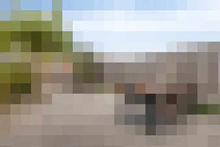 Erfvoort 62 Noordwijkerhout thumbnail 23