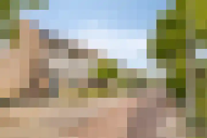 Erfvoort 62 Noordwijkerhout thumbnail 26