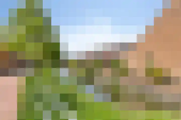 Erfvoort 62 Noordwijkerhout thumbnail 27