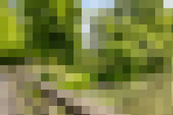 Erfvoort 62 Noordwijkerhout thumbnail 28