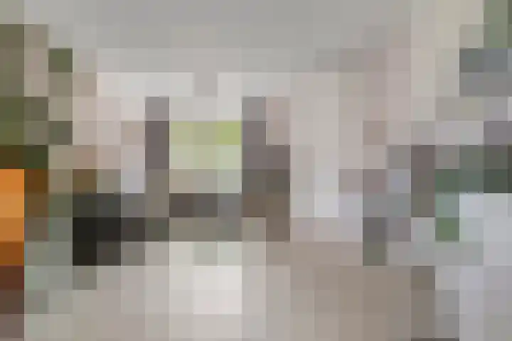 Erfvoort 62 Noordwijkerhout thumbnail 7
