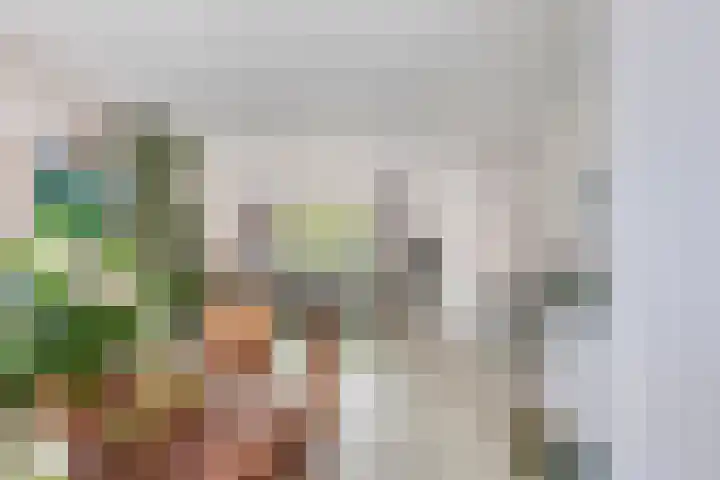 Erfvoort 62 Noordwijkerhout thumbnail 9