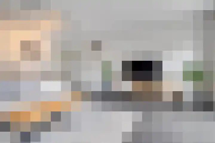 Erfwal 108 Zwolle thumbnail 12