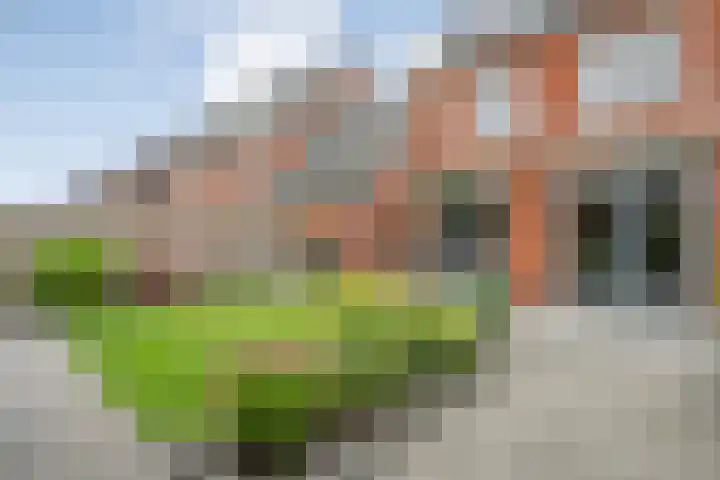 Erfwal 108 Zwolle thumbnail 42
