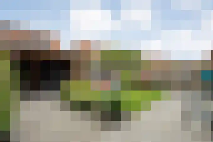 Erfwal 108 Zwolle thumbnail 43