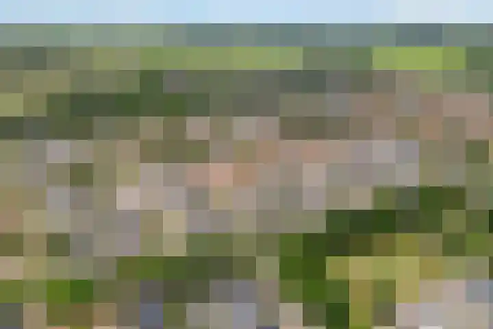 Erfwal 108 Zwolle thumbnail 45