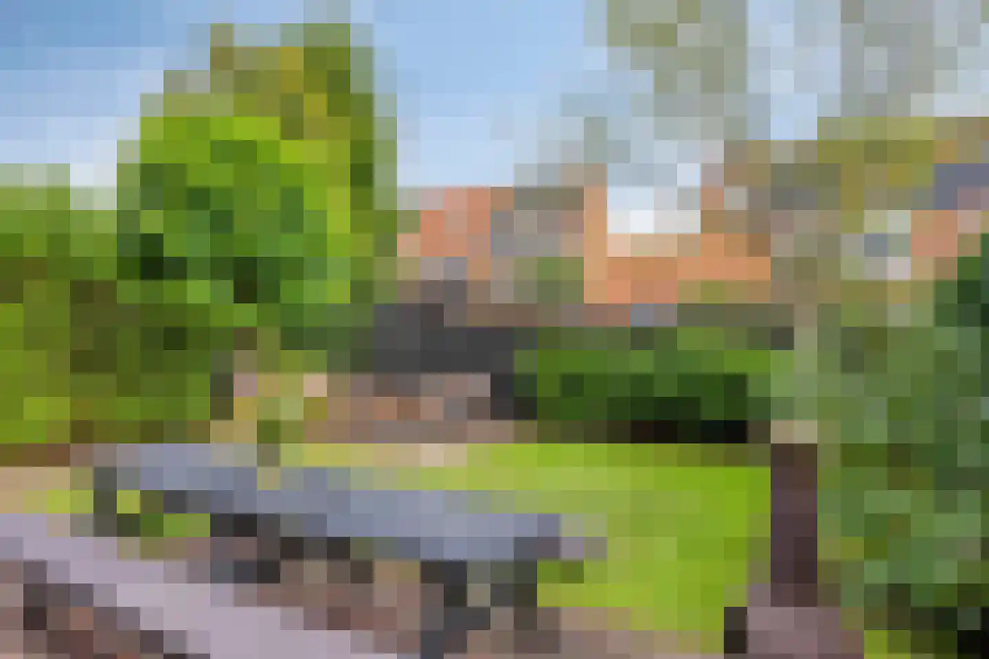 Erfwal 118 Zwolle thumbnail 37