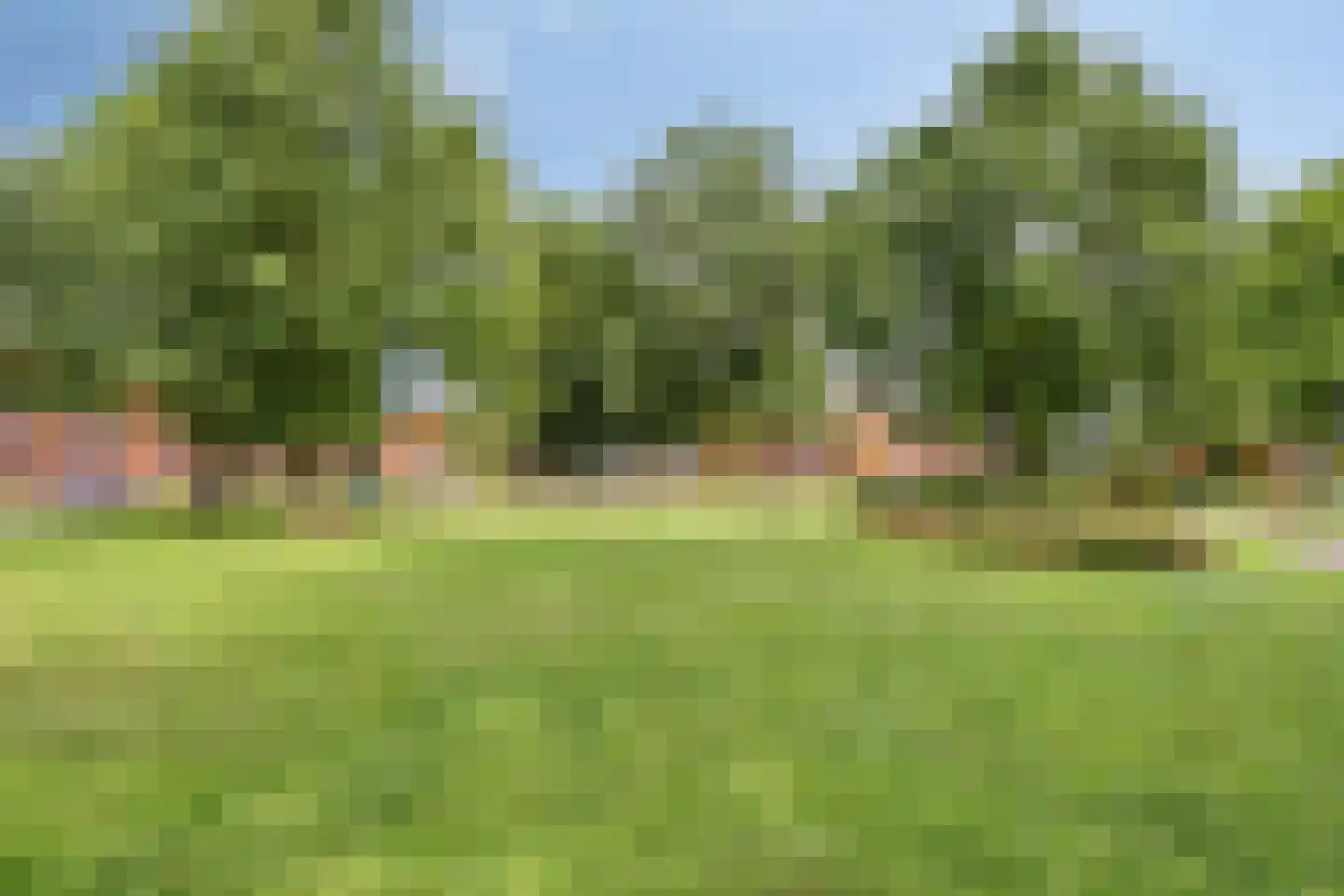Erfwal 118 Zwolle thumbnail 40