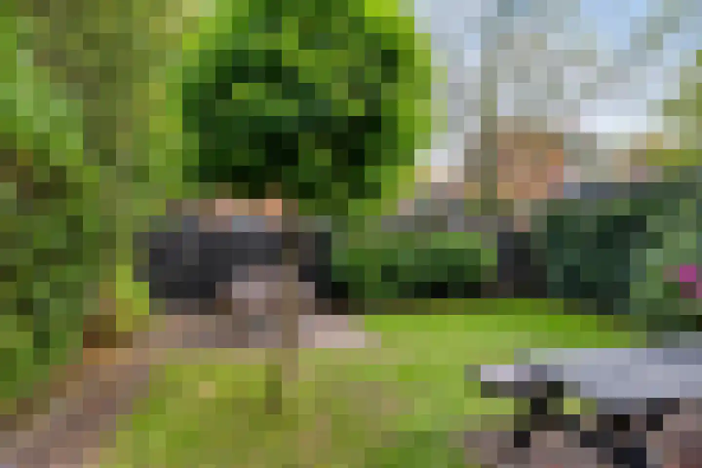Erfwal 118 Zwolle thumbnail 5