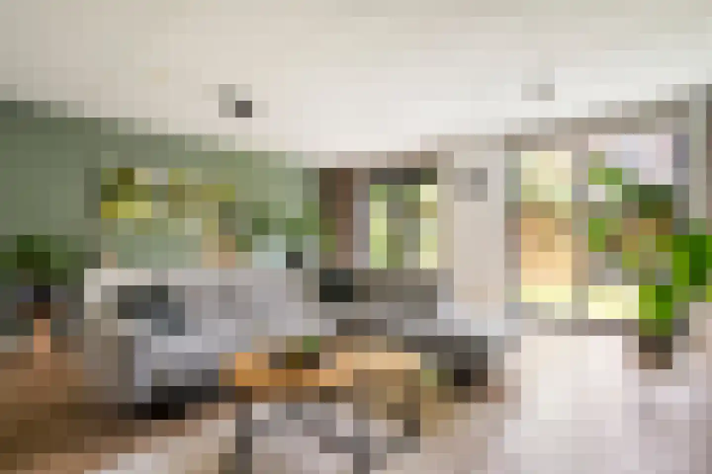Erfwal 120 Zwolle thumbnail 17
