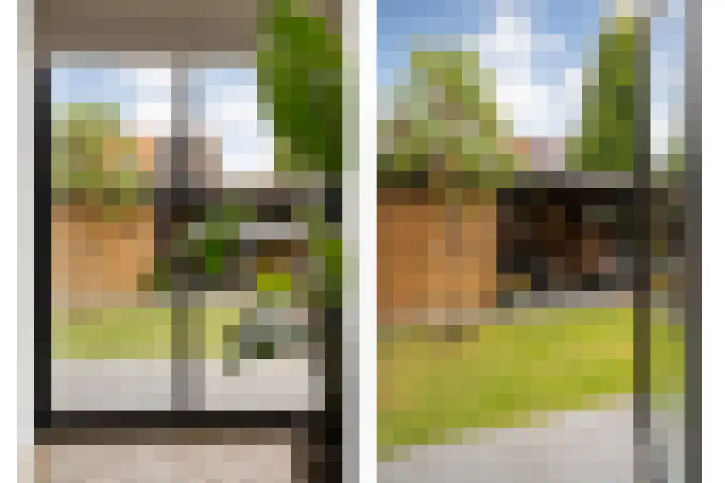 Erfwal 120 Zwolle thumbnail 19