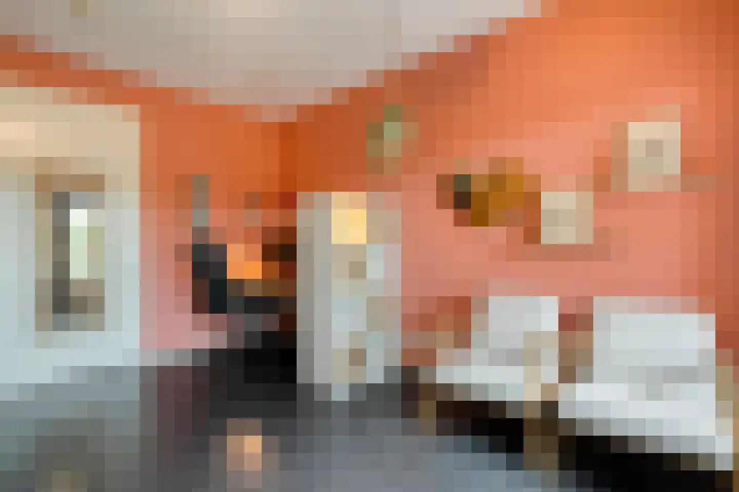 Erfwal 120 Zwolle thumbnail 28
