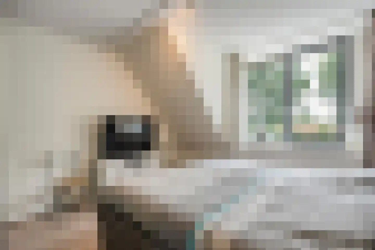 Erfwal 120 Zwolle thumbnail 37