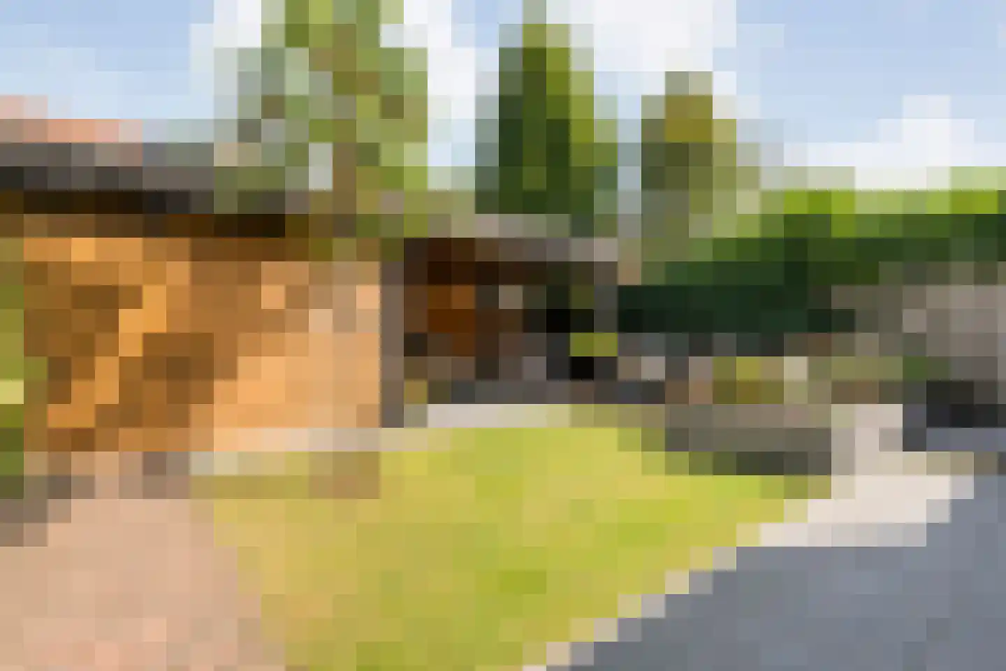 Erfwal 120 Zwolle thumbnail 49