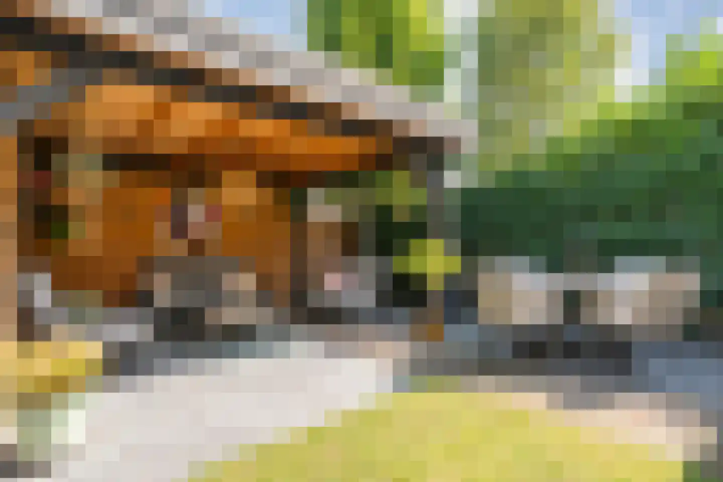 Erfwal 120 Zwolle thumbnail 53