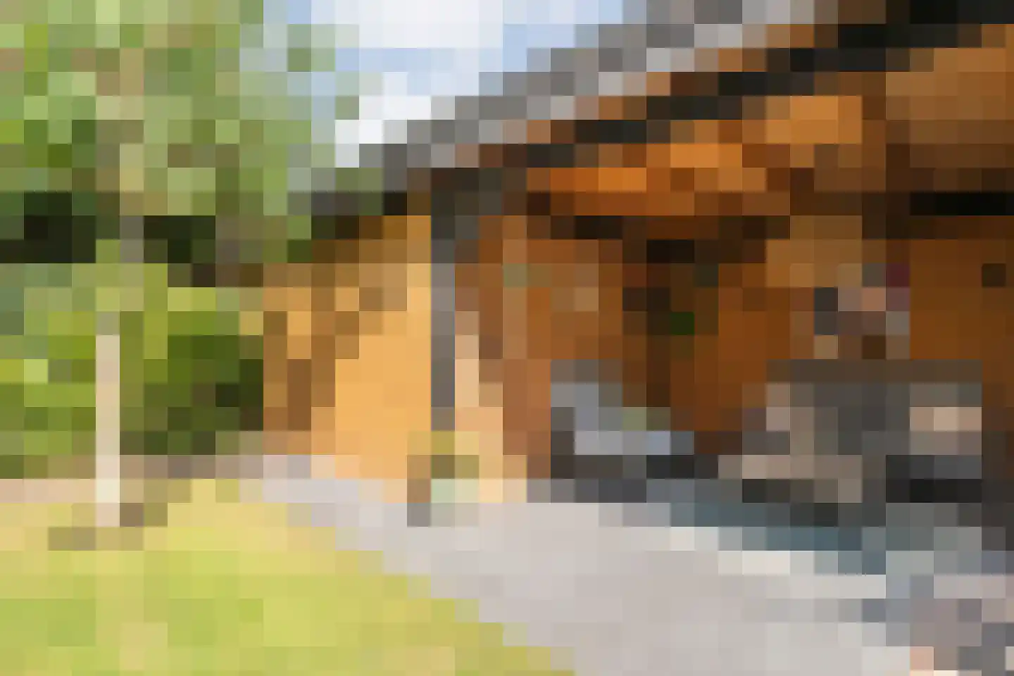 Erfwal 120 Zwolle thumbnail 54