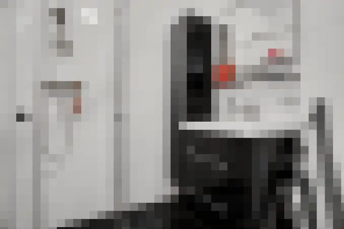 Erfwal 4 B Zwolle thumbnail 31