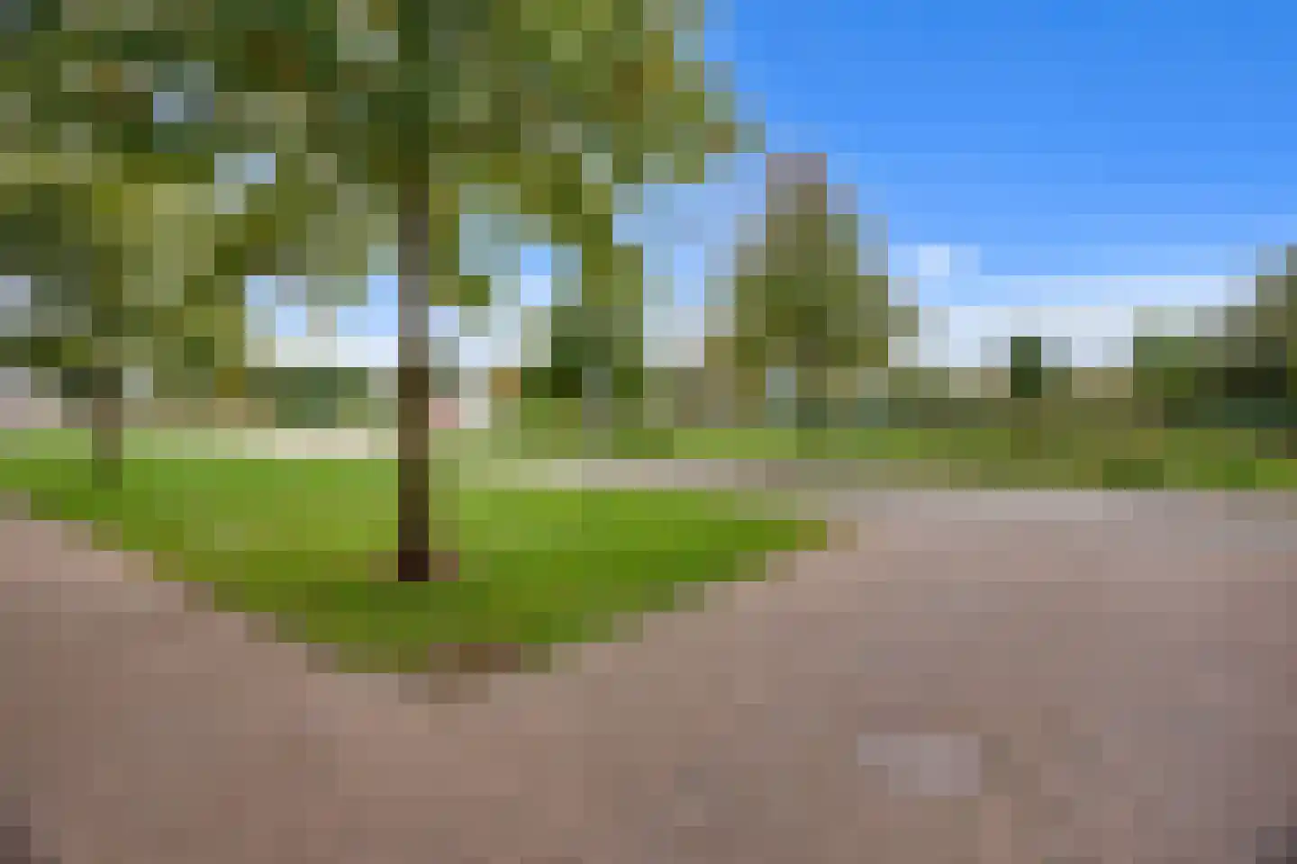 Erfwal 4 B Zwolle thumbnail 40