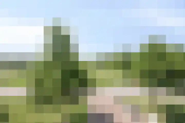 Erfwal 4 D Zwolle thumbnail 11