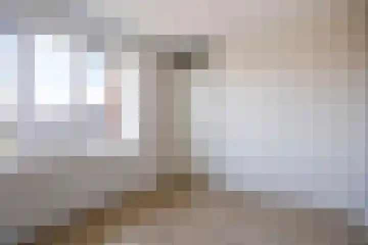 Erfwal 4 D Zwolle thumbnail 16