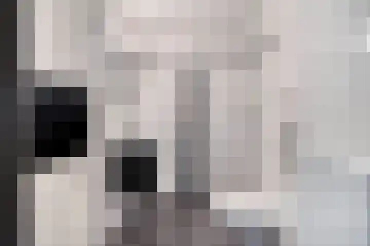 Erfwal 4 D Zwolle thumbnail 18
