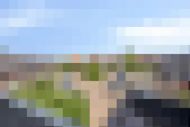Erfwal 4 D Zwolle thumbnail 20