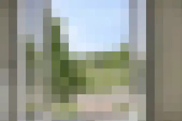 Erfwal 4 D Zwolle thumbnail 9