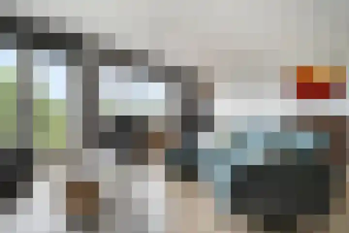 Erfwal 4 Zwolle thumbnail 16