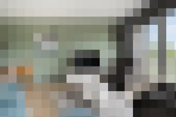 Erfwal 4 Zwolle thumbnail 17