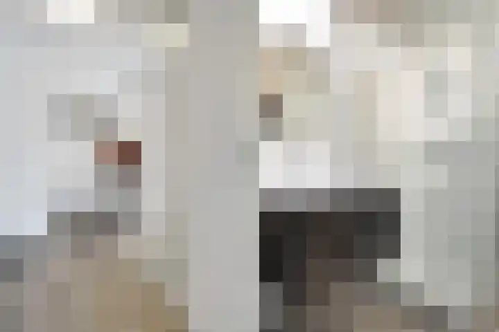 Erfwal 4 Zwolle thumbnail 23