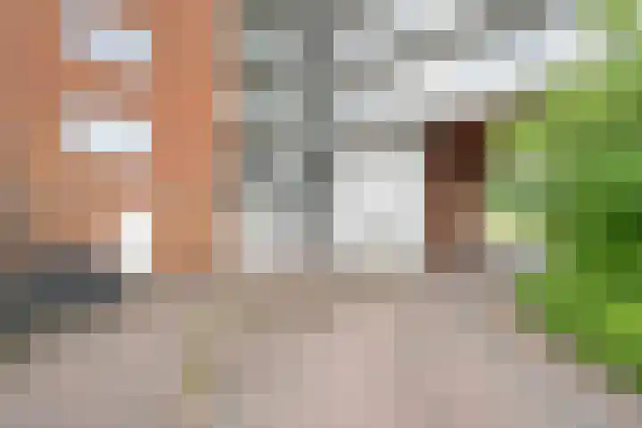 Erfwal 4 Zwolle thumbnail 30