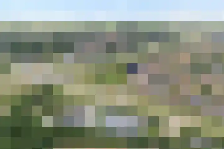 Erfwal 4 Zwolle thumbnail 34