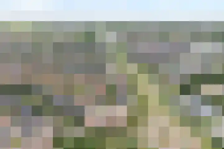 Erfwal 4 Zwolle thumbnail 35