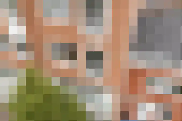 Erfwal 4 Zwolle thumbnail 5