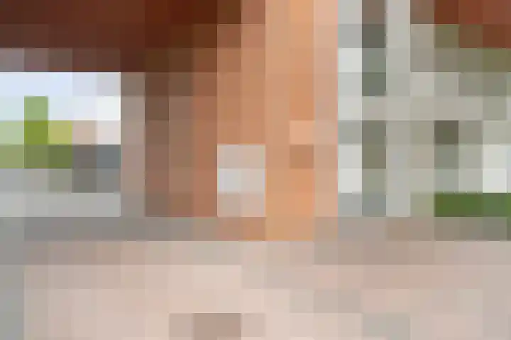 Erfwal 4 Zwolle thumbnail 6
