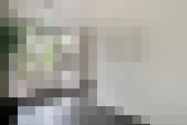Erfwal 4 Zwolle thumbnail 7