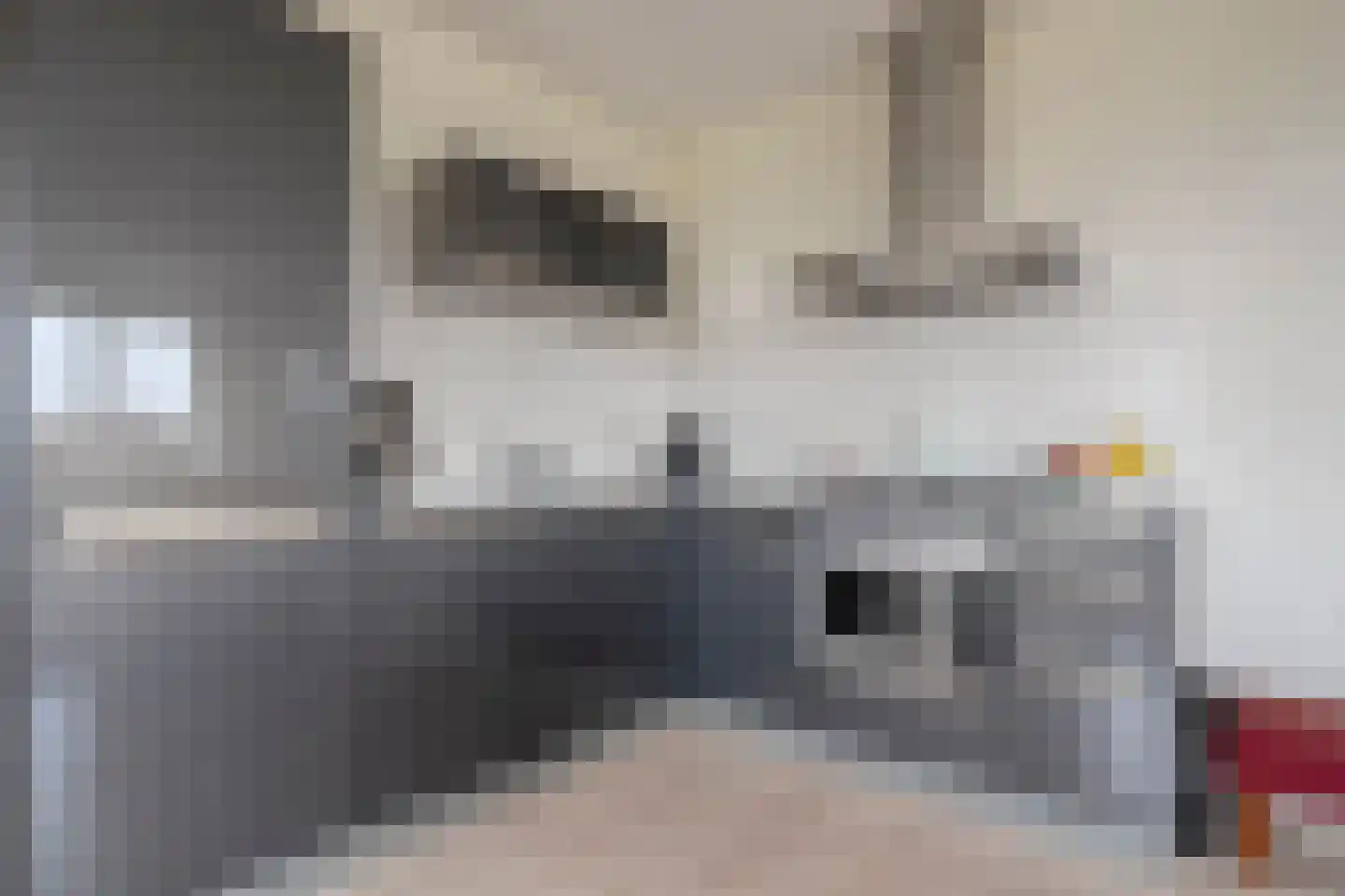 Erfwal 6 C Zwolle thumbnail 23