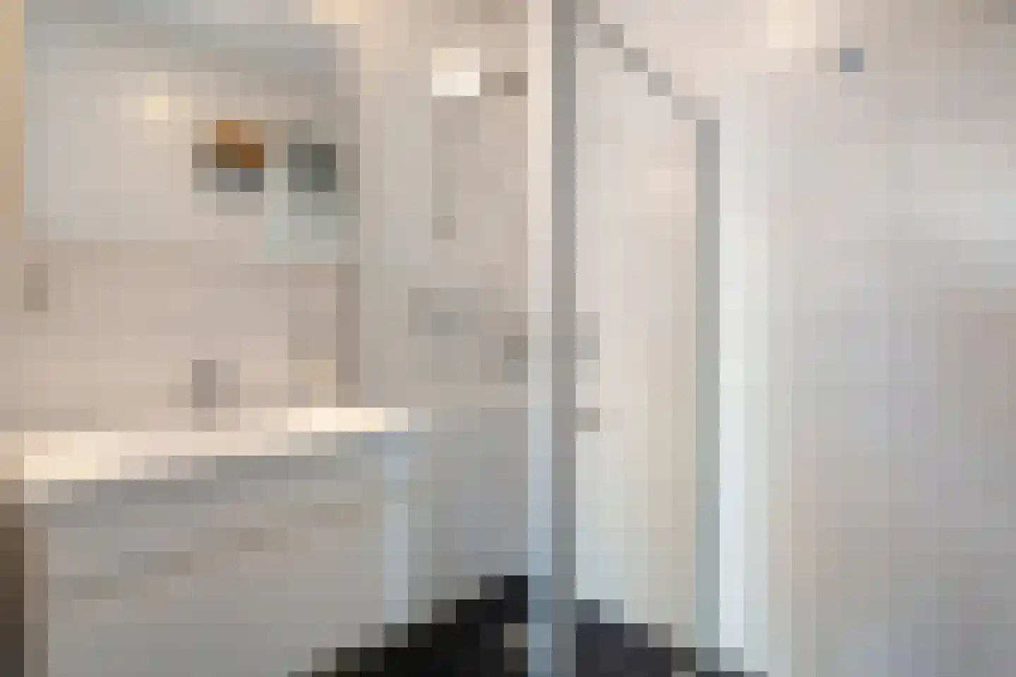 Erfwal 6 C Zwolle thumbnail 33