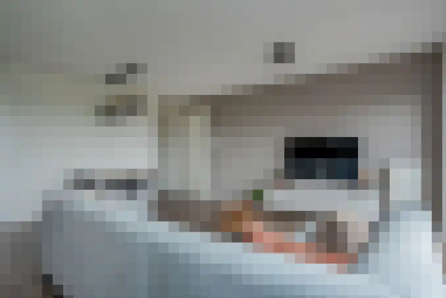 Erfwal 6 D Zwolle thumbnail 19