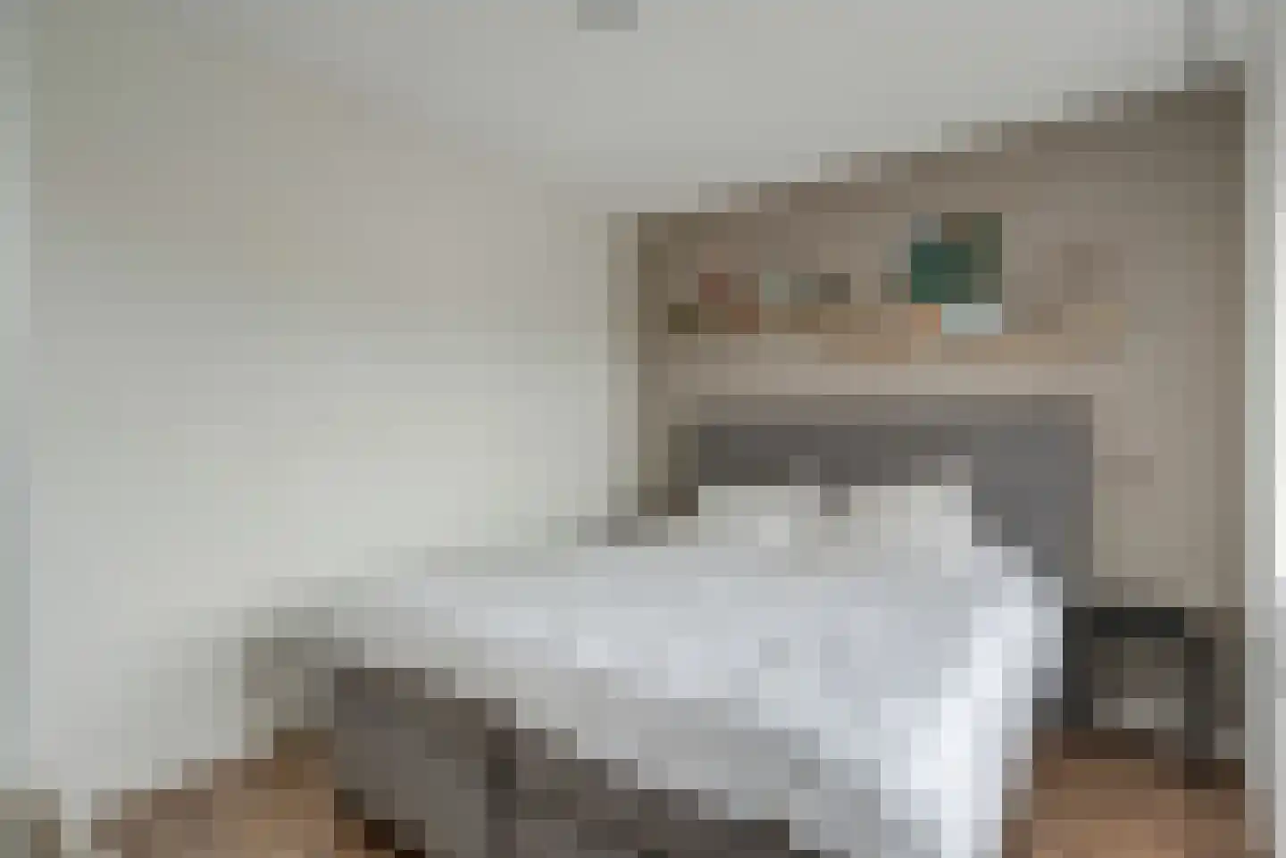 Erfwal 6 D Zwolle thumbnail 23