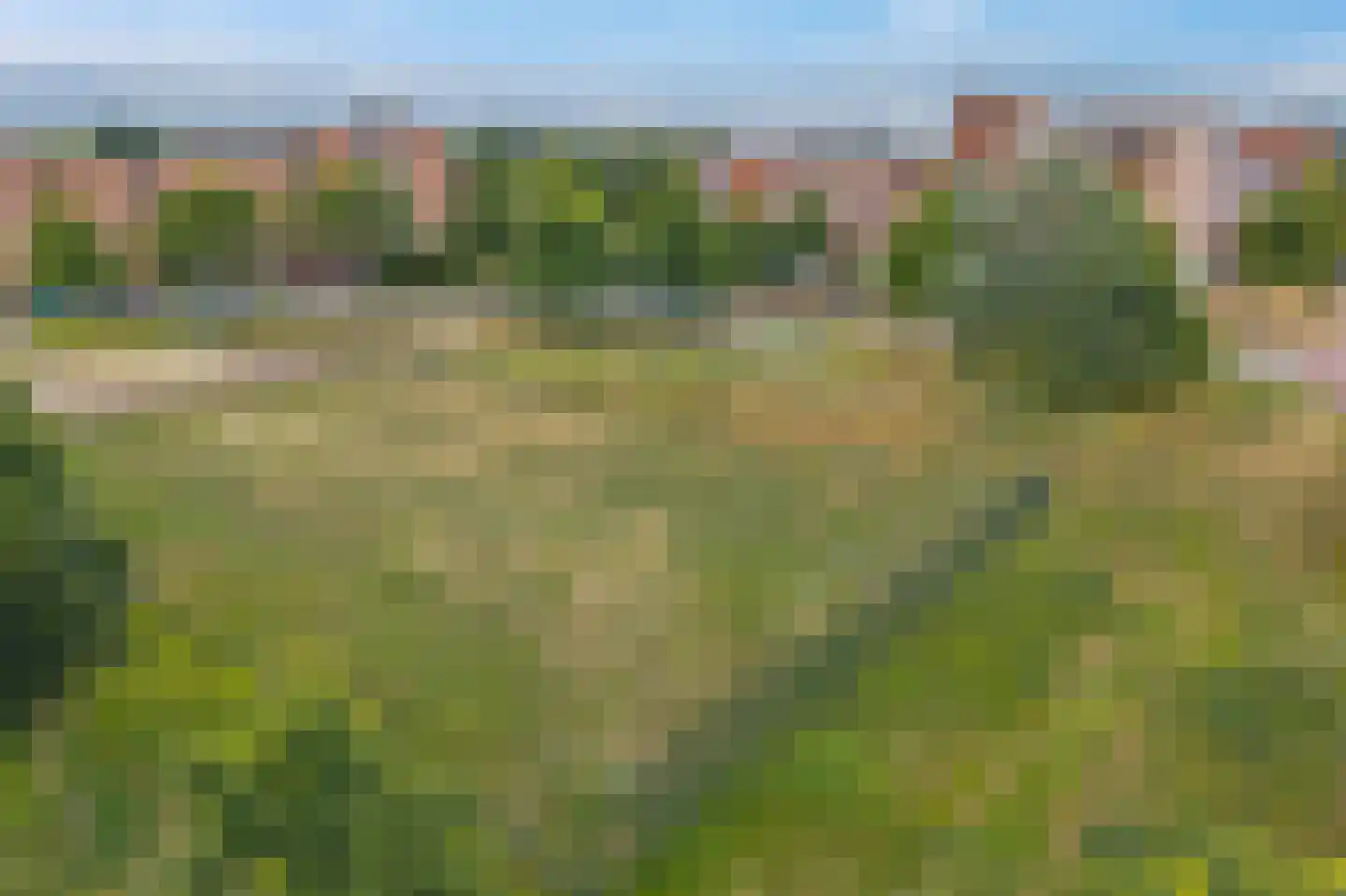 Erfwal 6 D Zwolle thumbnail 30