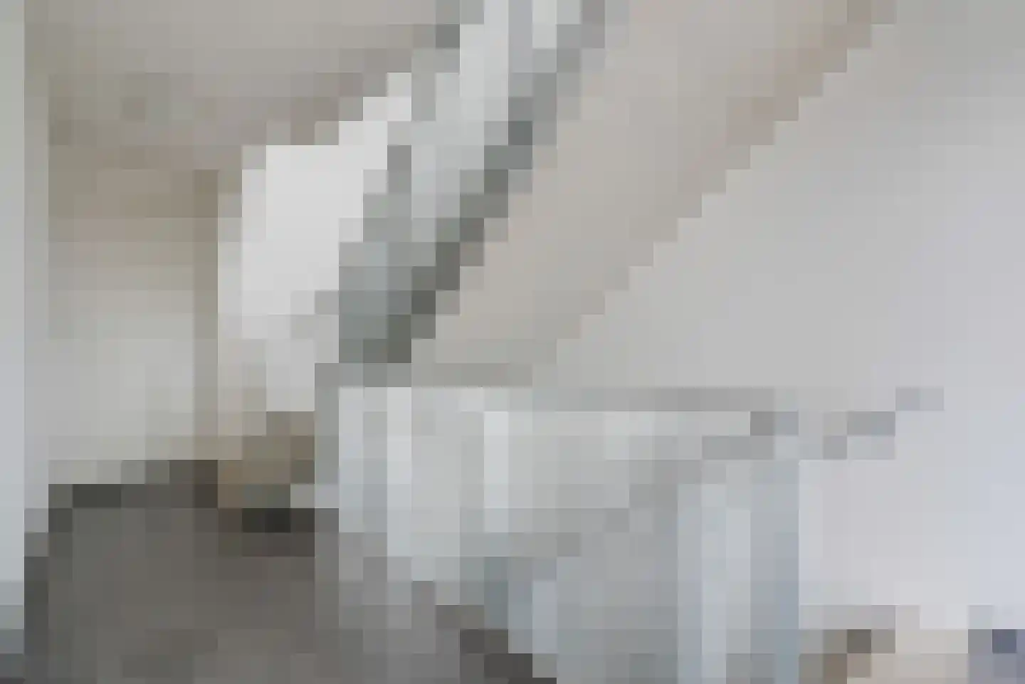 Erfwal 6 D Zwolle thumbnail 7