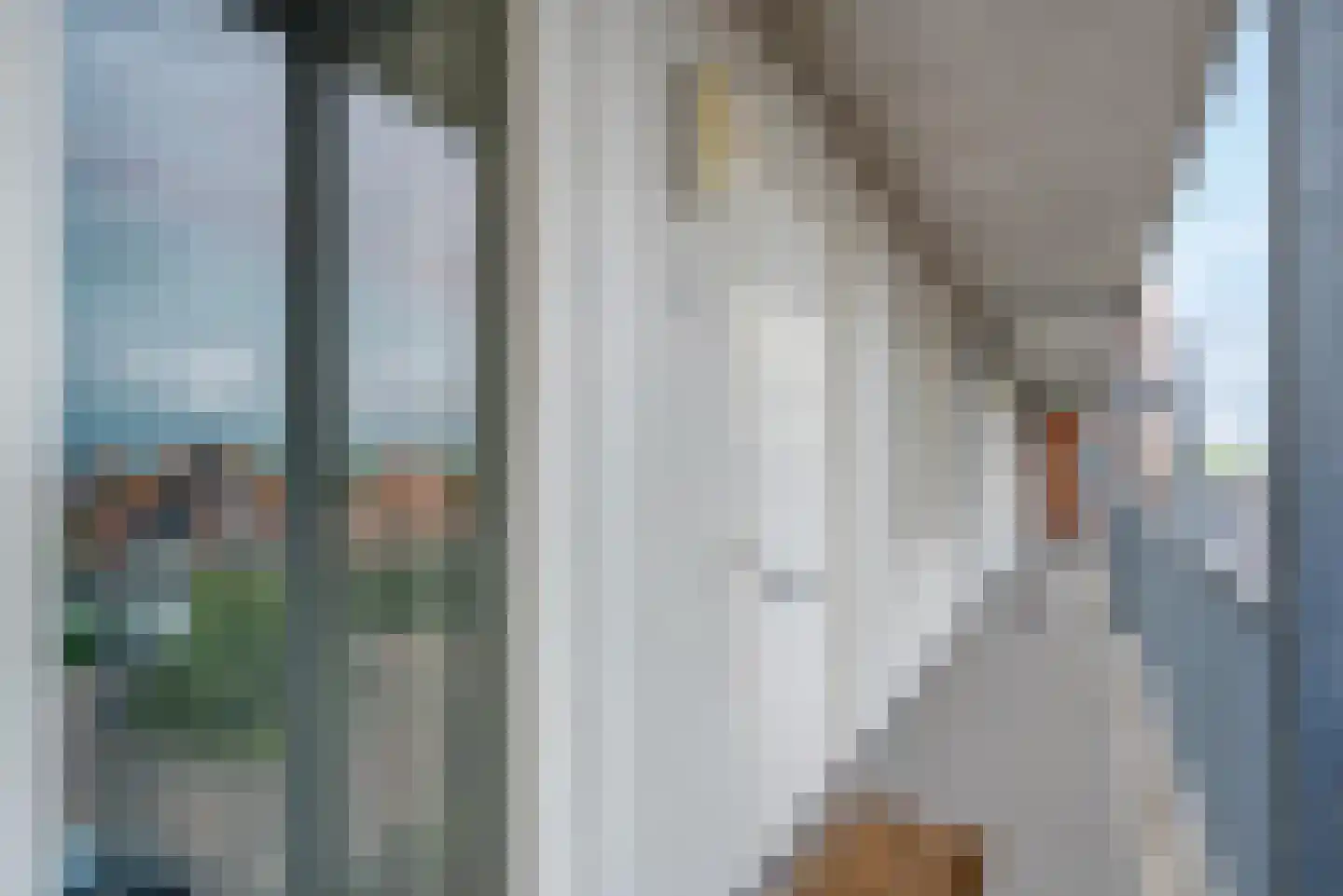 Erfwal 6 D Zwolle thumbnail 9