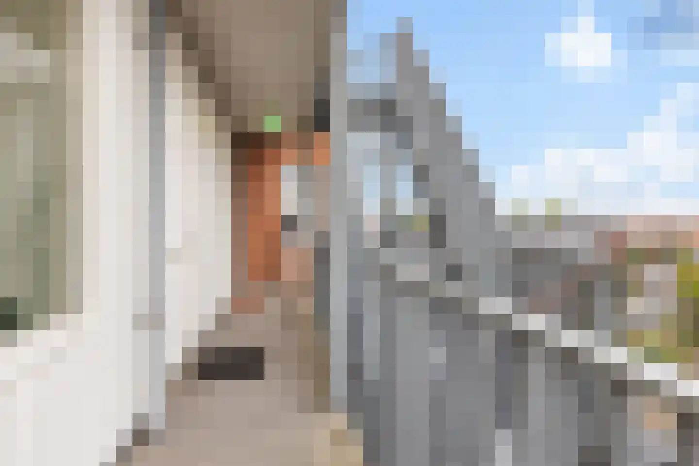 Erfwal 6 F Zwolle thumbnail 12